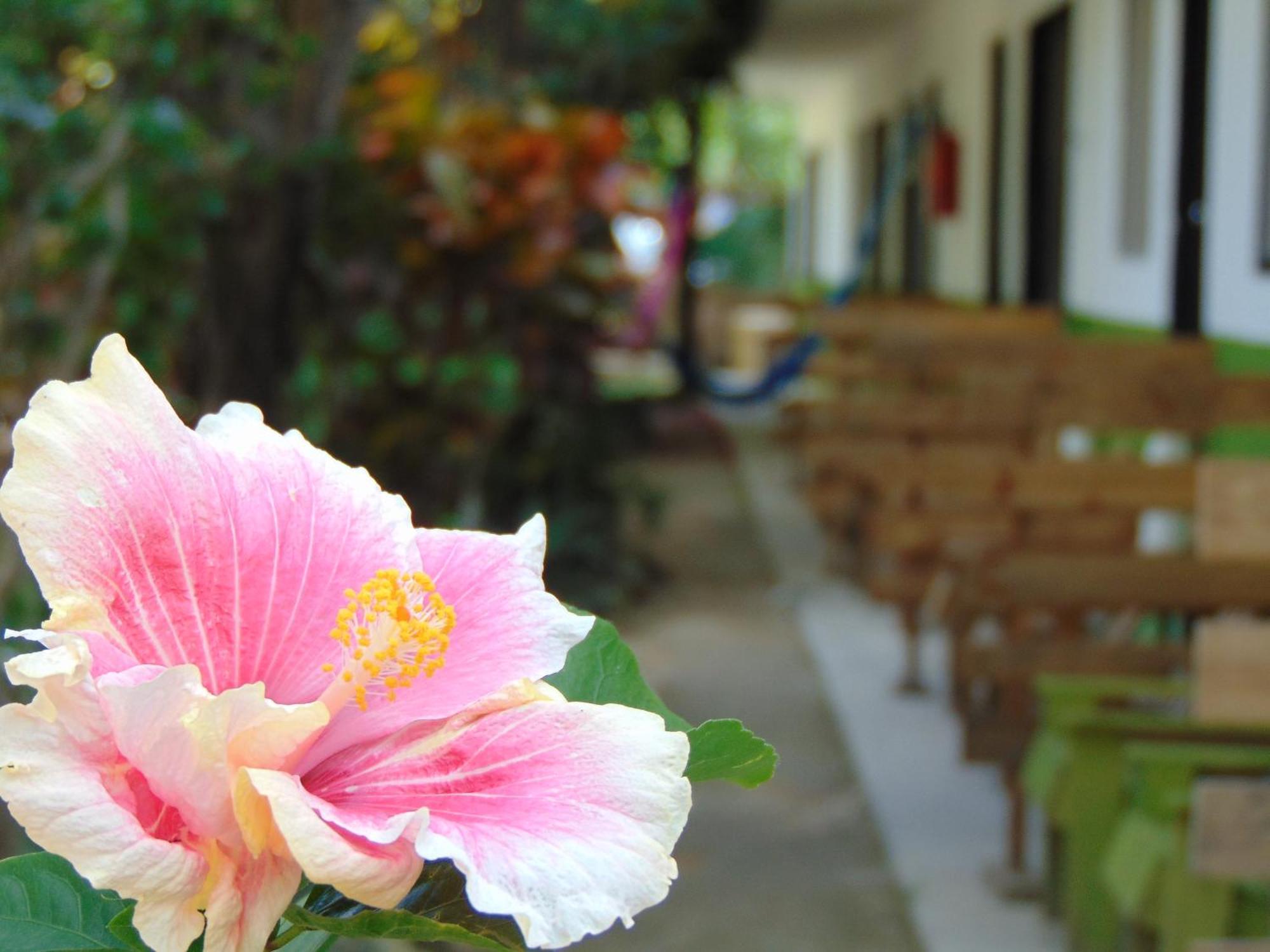 Bed and Breakfast Crucero Тулум Экстерьер фото